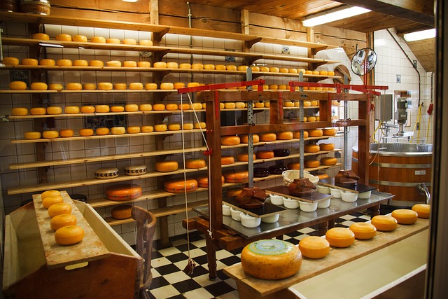 Cheese farms Salzburg