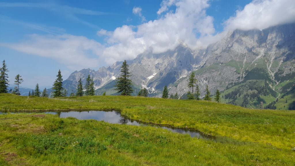 Hochkeil, Hochkoenig